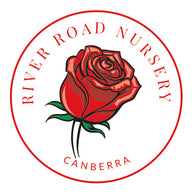 River Road Nursery