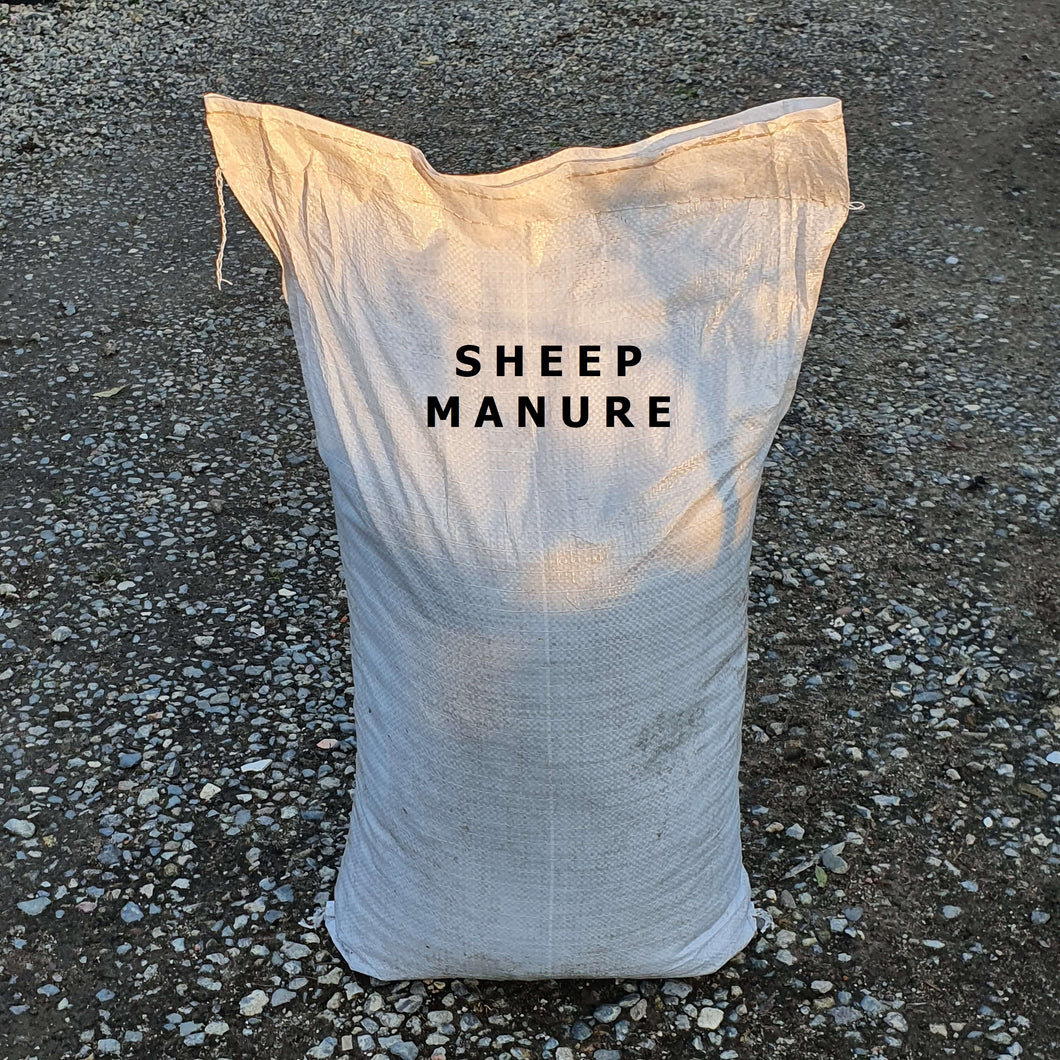 Sheep Manure